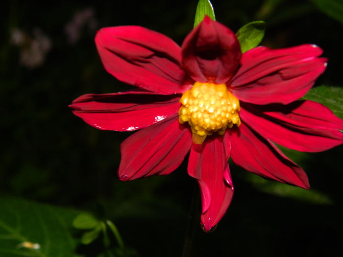 DSCN0156