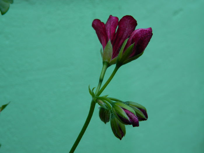 DSCN0163