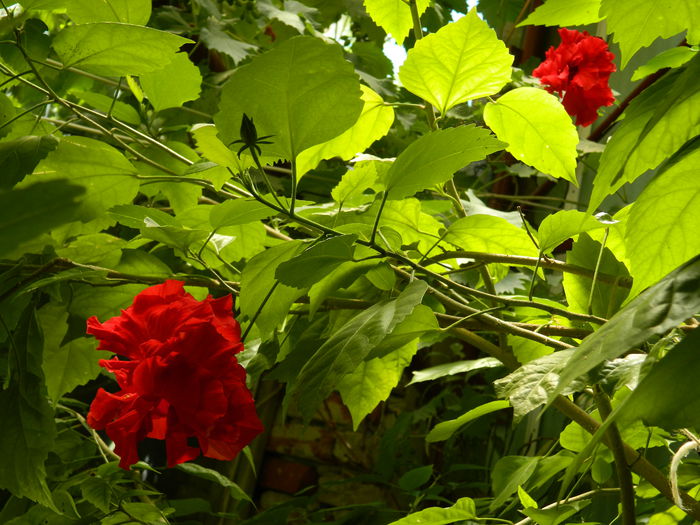 DSCN0178
