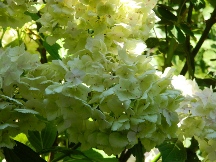 DSCN0197