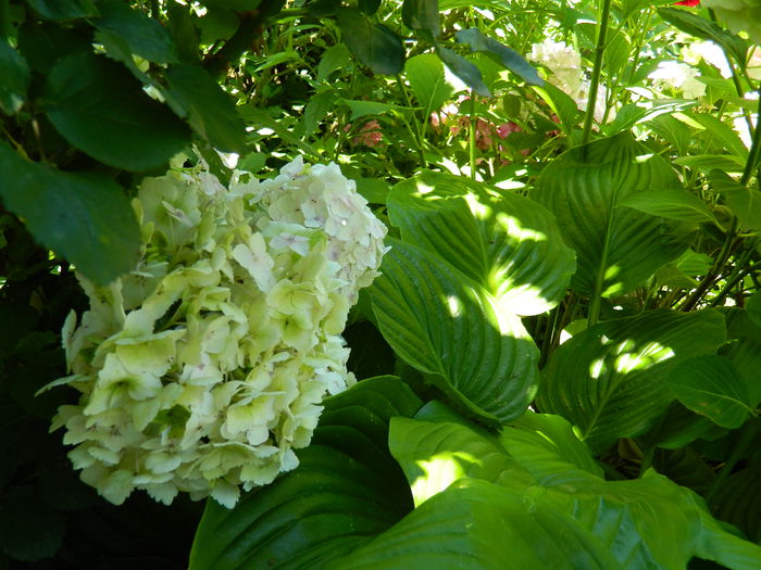 DSCN0199