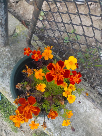 86d965279032dbaf22e8e6a8d52d222e