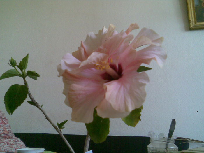 Imag036