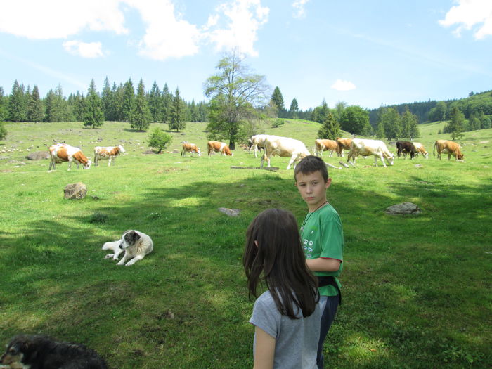 IMG_2900 - oile 2012-2013-2014- - - 2016--17-18-19-20-21-22-23