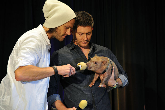 tumblr_mv3d4mdXBa1qcah3yo1_1280 - x-The charismatic Jensen Ackles
