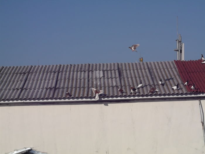 BAZA DE LANSARE