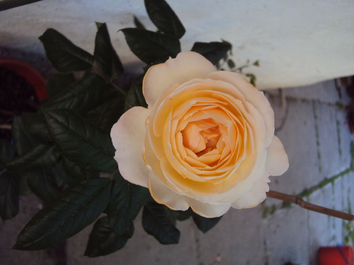DSC00062