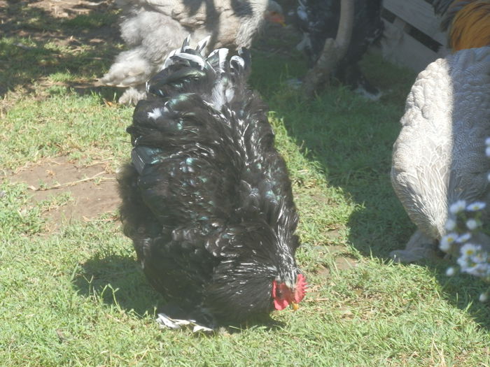 P7104770