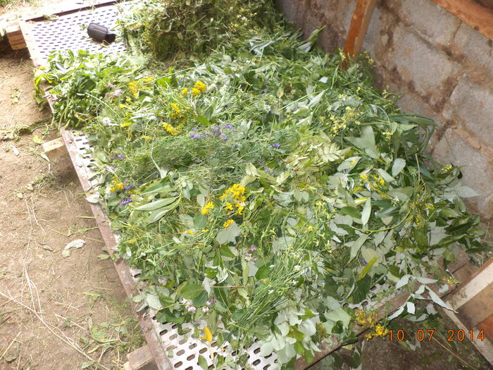 Flori de flori; Zilnic le strang la caprite asa ceva
