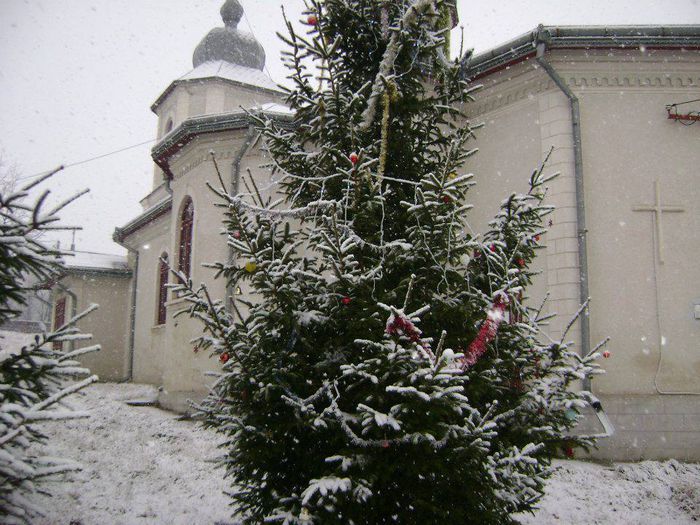 iarna - Biserica din Vlasinesti