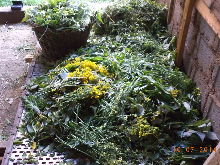 Frunze si flori pt caprite; Ajung cam pentru trei zile
