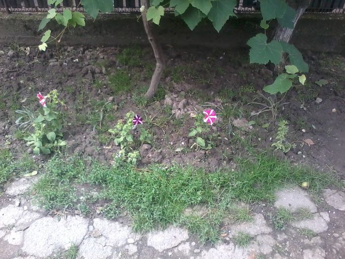 20140701_123754