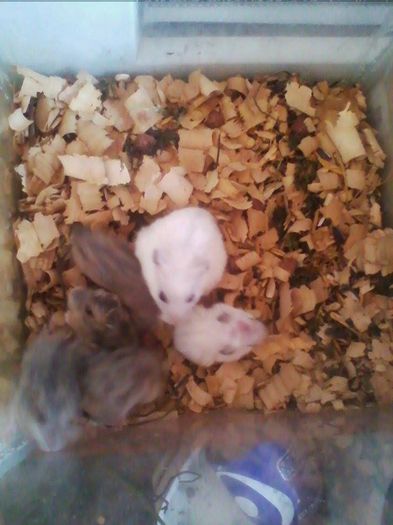 10526620_802016993176299_2087826495_n