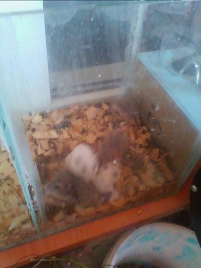 10545077_802016923176306_1812421835_n