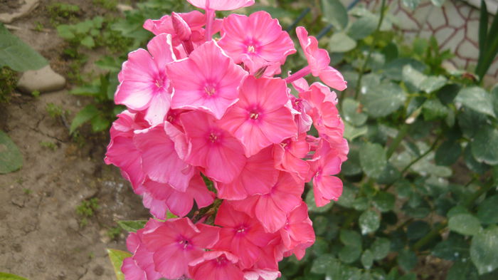 095