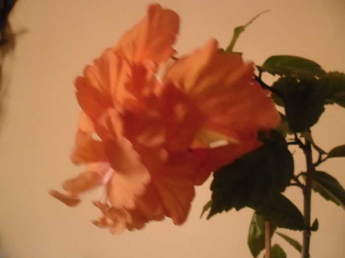 025