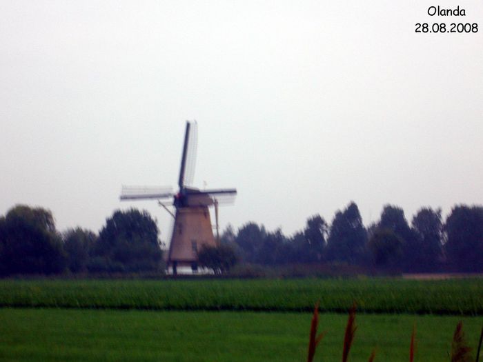 P1000489 - Olanda august 2008