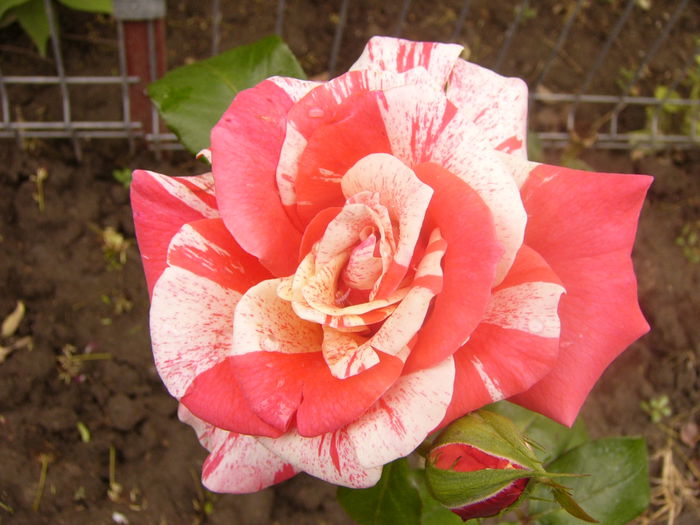 P1220769