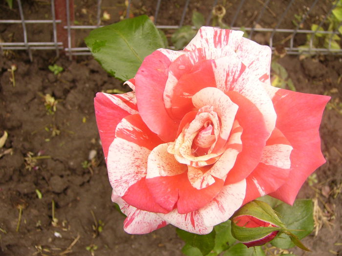P1220770