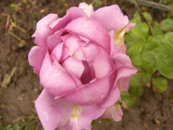 P1220778