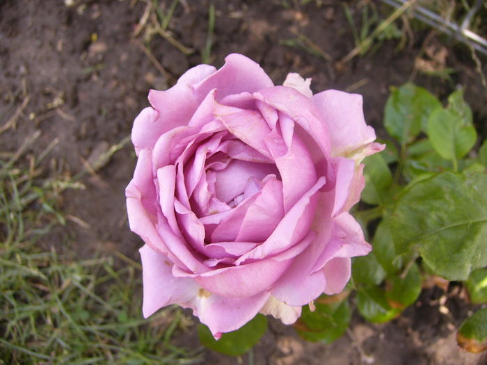 P1220791