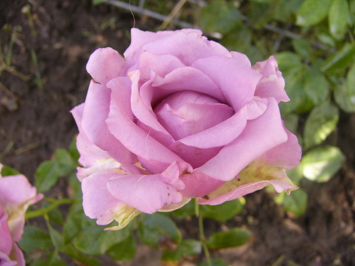 P1220792