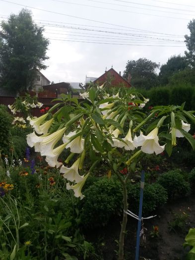 20140711_203040