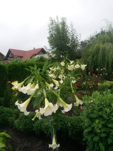 20140711_203134