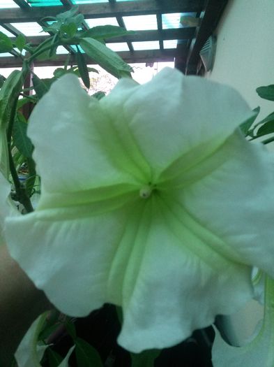 20140711_203532