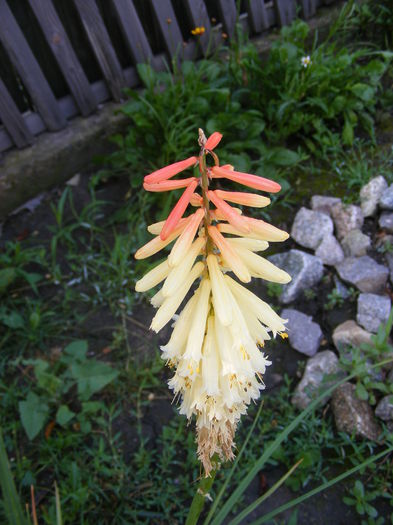 DSCF0756