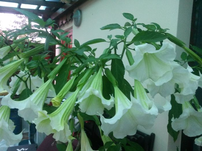 20140711_203548