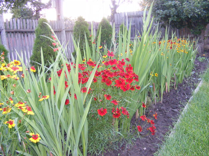 DSCF0794 - Vara 2014-2017