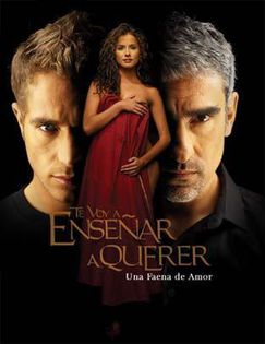 97. Te voi invata sa iubesti (2004); Te Voy A Enseñar A Querer cu Danna Garcia, Miguel Varoni, Michel Brown, Catherine Siachoque
