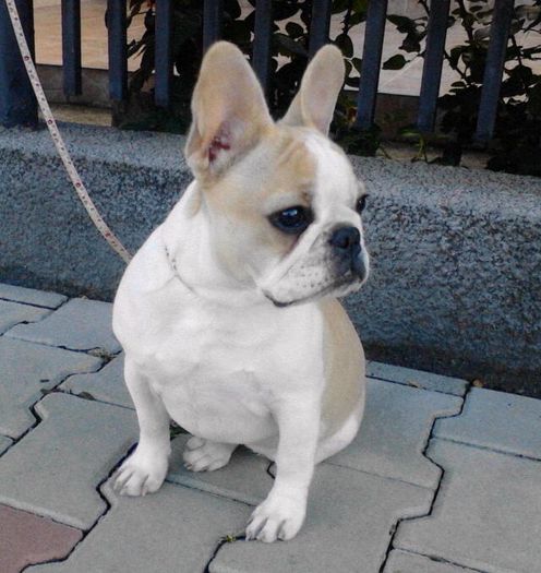 IMG_20140701_190726-1