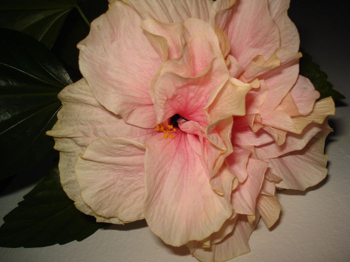 DSC08857