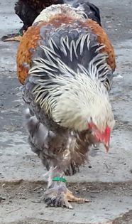 20140102_144928 - Pt Facebook