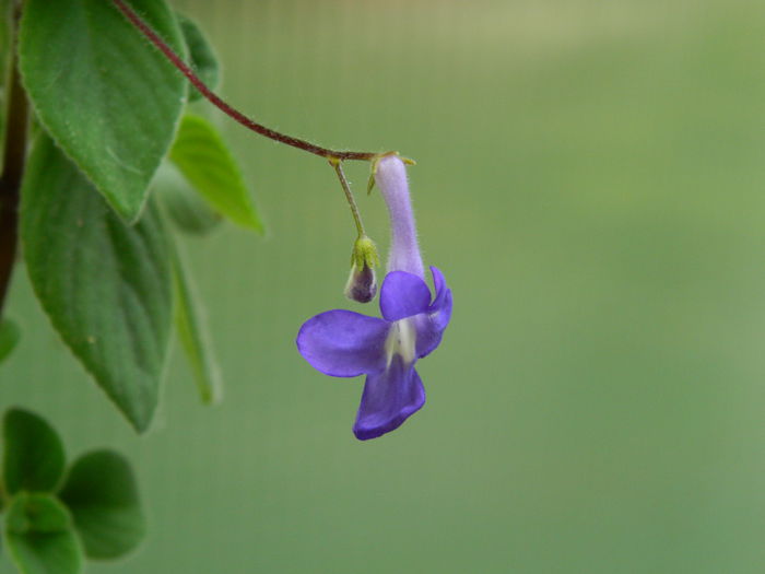 DSCN7312