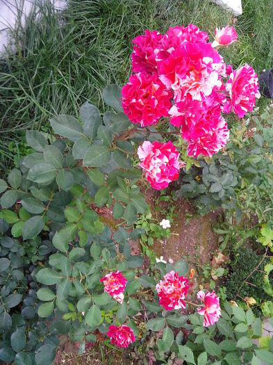 IMG_20140711_200707