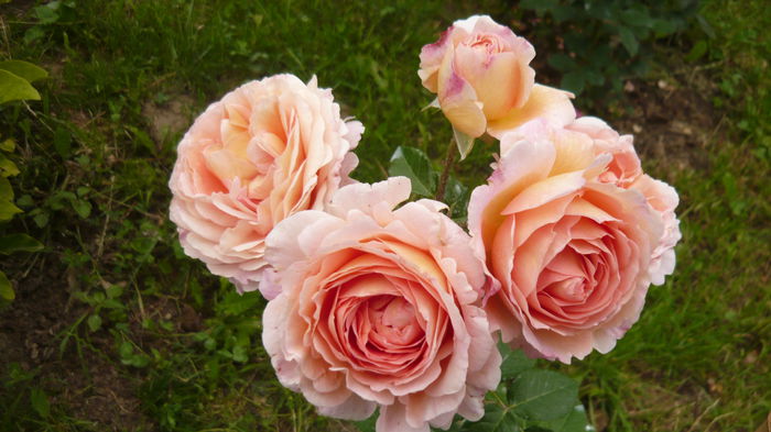 104 - engl Abraham darby