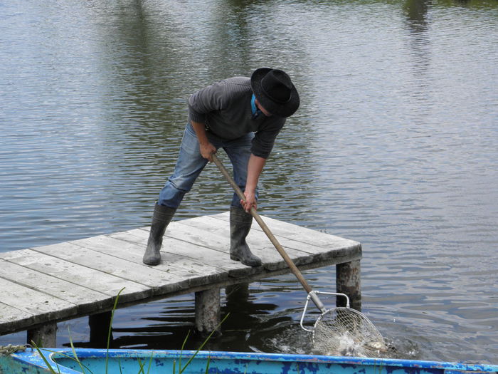 11.07.2014 - PESCUIT 2014