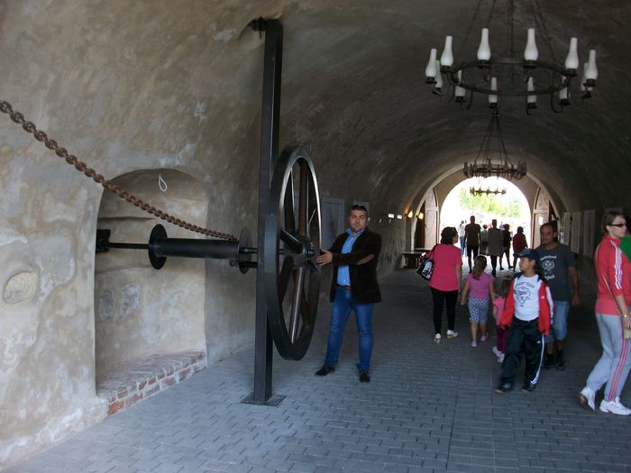 ALIM8166 - POZE SIBIU