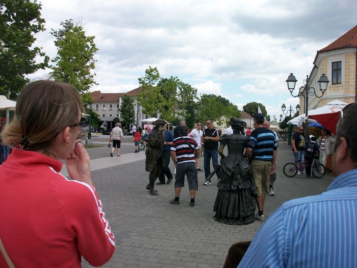 ALIM8193 - POZE SIBIU