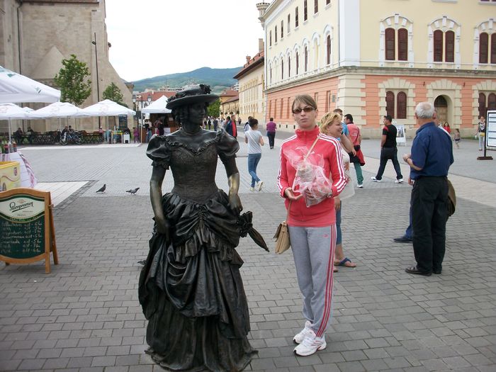ALIM8195 - POZE SIBIU