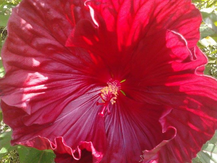 10473815_1506896732879509_3600863260914902706_n 10473815_1506896732879509_3600863260914902706_n