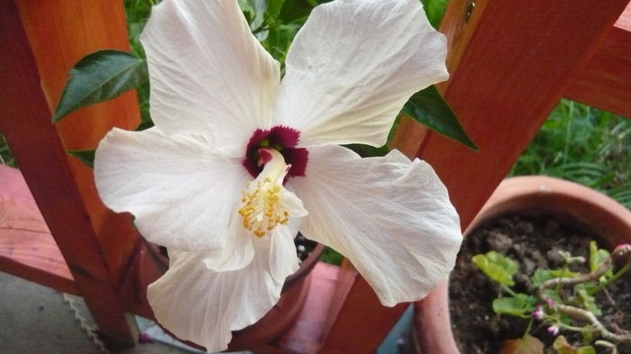 099