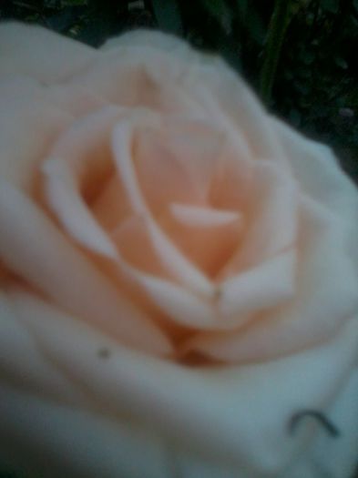 2014-07-13 20.53.21