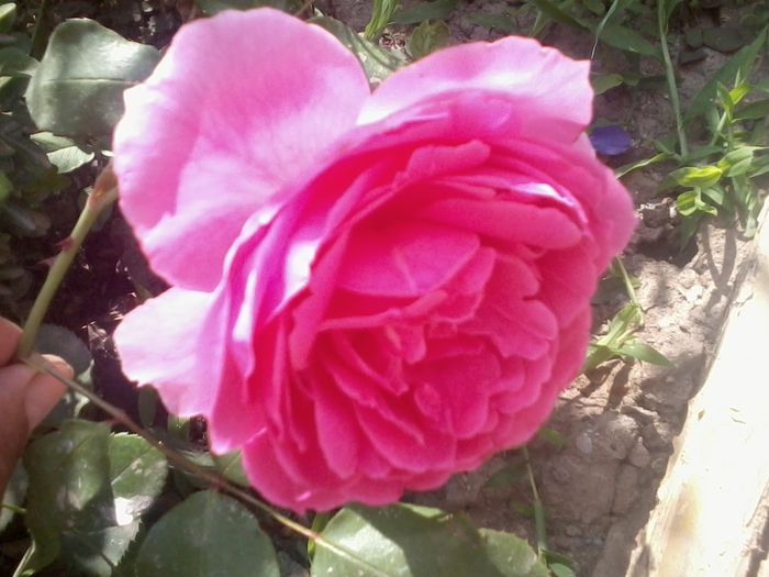 2014-07-09 09.56.40