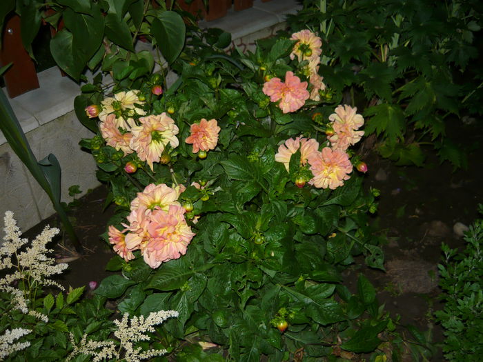 043