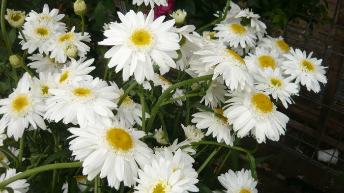 055