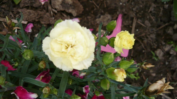 038